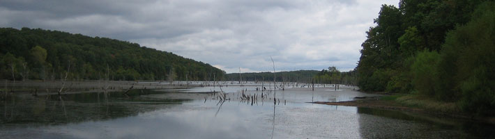 Ozark Trail - Council Bluff Lake Loop